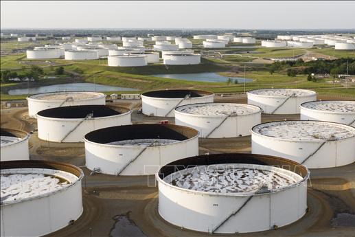 OPEC+ dự kiến giữ nguyên sản lượng dầu tháng 12/2026
